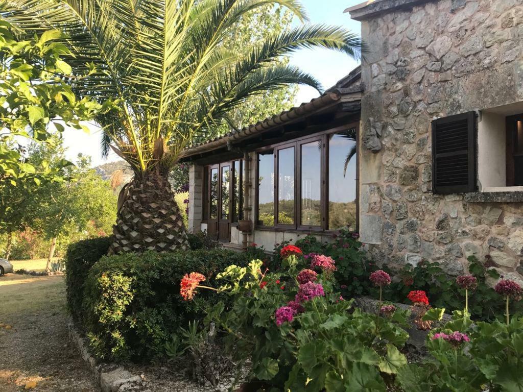 Can Petrel Pollenca Exterior photo