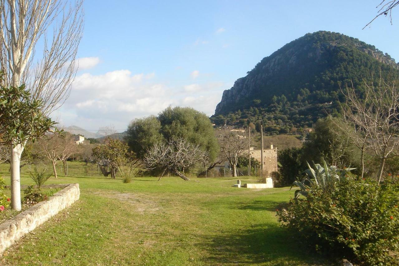 Can Petrel Pollenca Exterior photo